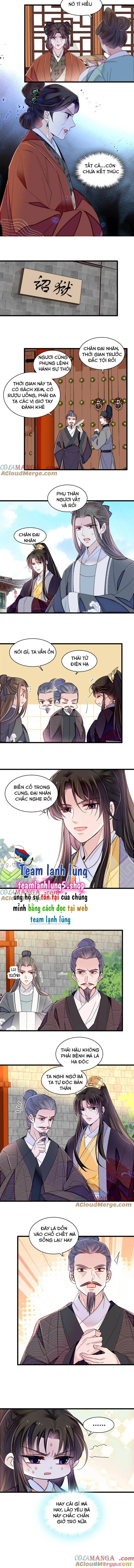 Tự Cẩm Chapter 374 - Trang 2