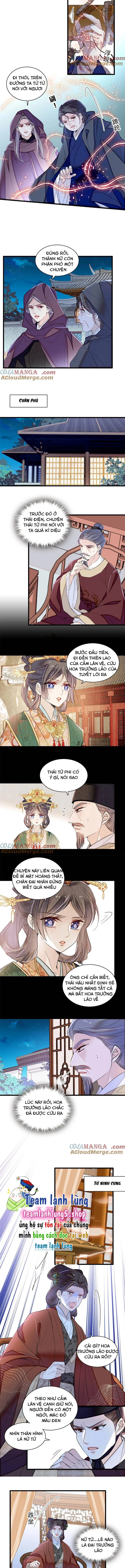 Tự Cẩm Chapter 378 - Trang 2
