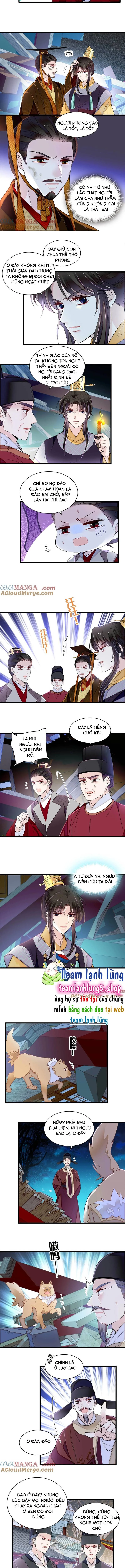 Tự Cẩm Chapter 379 - Trang 2