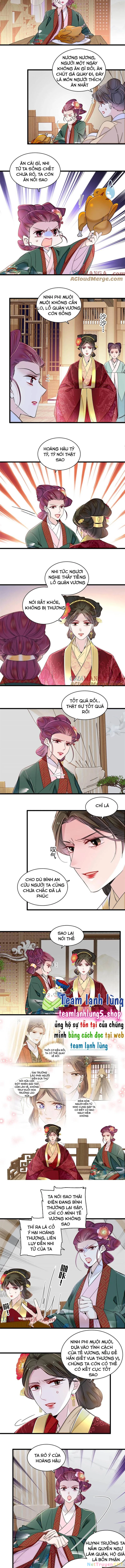 Tự Cẩm Chapter 381 - Trang 2