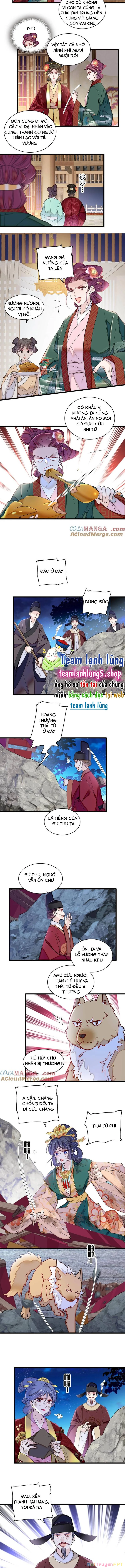 Tự Cẩm Chapter 381 - Trang 2