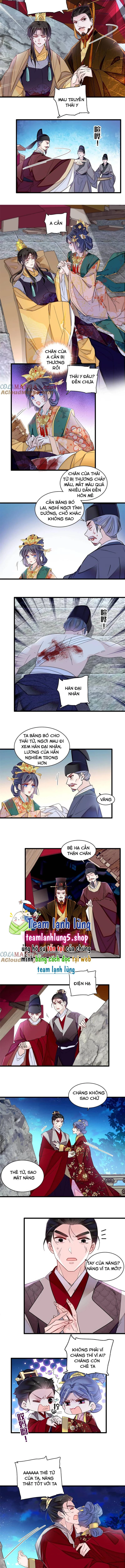 Tự Cẩm Chapter 381 - Trang 2