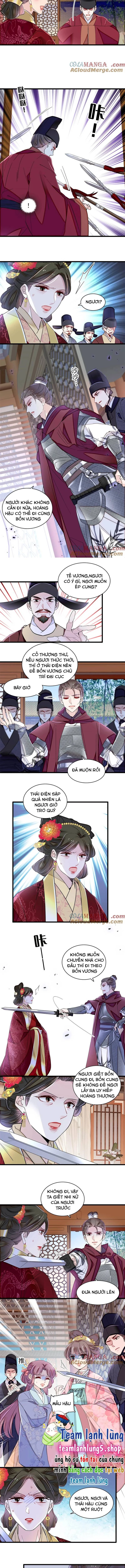 Tự Cẩm Chapter 382 - Trang 2
