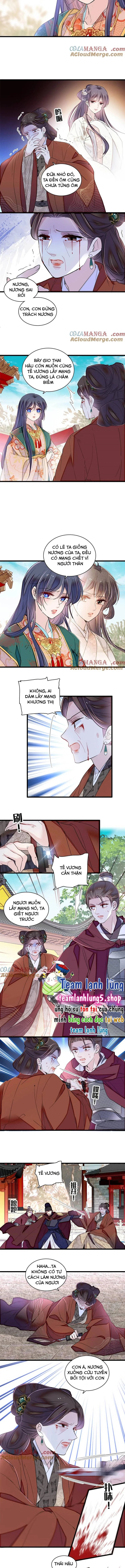 Tự Cẩm Chapter 383 - Trang 2