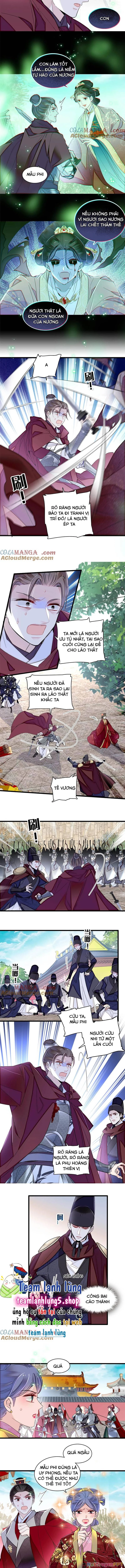 Tự Cẩm Chapter 384 - Trang 2