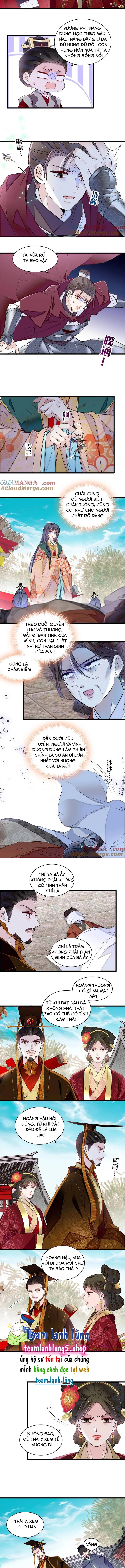 Tự Cẩm Chapter 384 - Trang 2