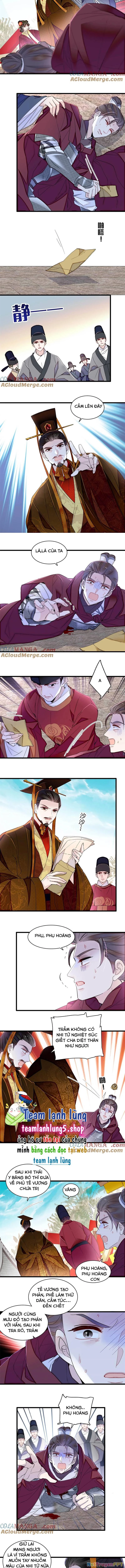 Tự Cẩm Chapter 384 - Trang 2