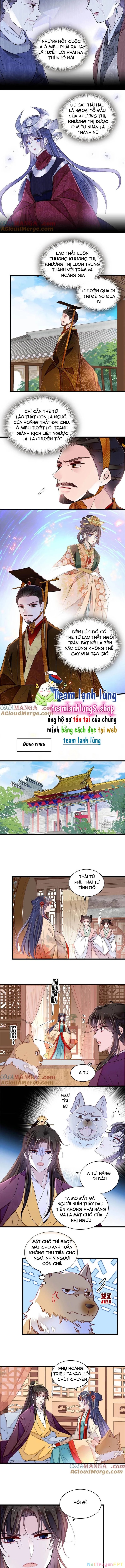 Tự Cẩm Chapter 385 - Trang 2
