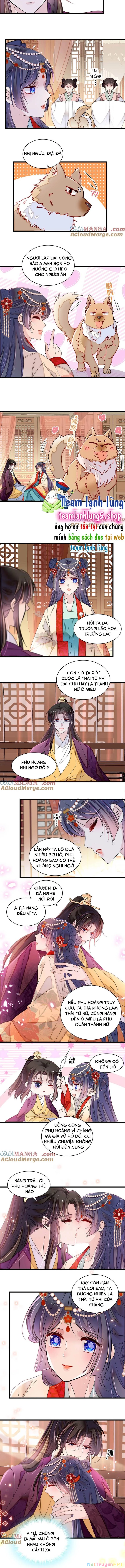 Tự Cẩm Chapter 385 - Trang 2