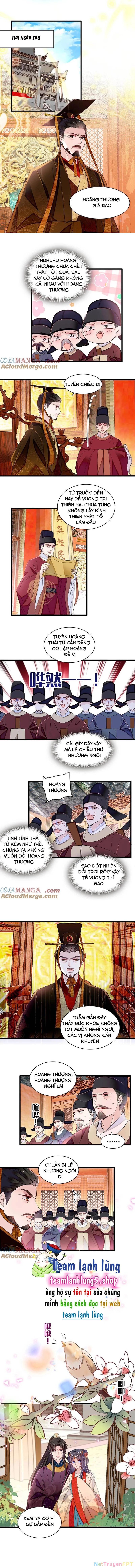 Tự Cẩm Chapter 385 - Trang 2