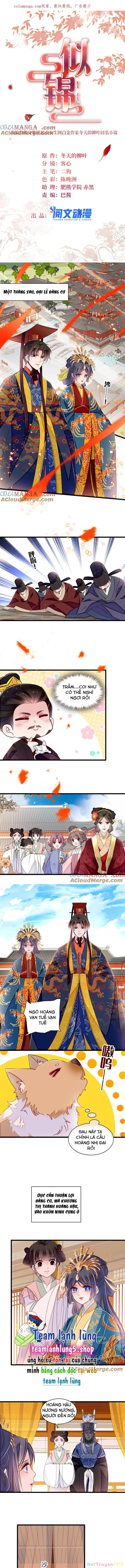 Tự Cẩm Chapter 386 - Trang 2