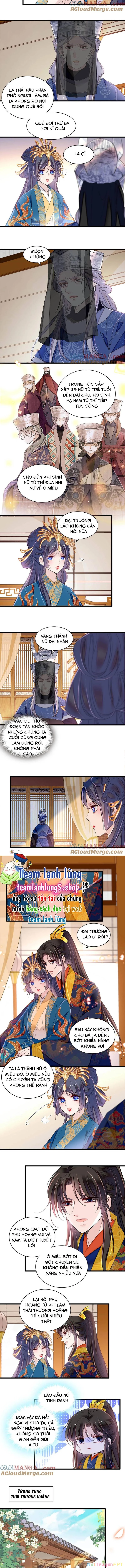 Tự Cẩm Chapter 386 - Trang 2