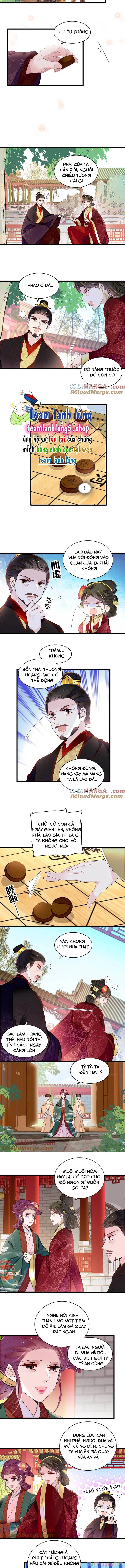 Tự Cẩm Chapter 386 - Trang 2