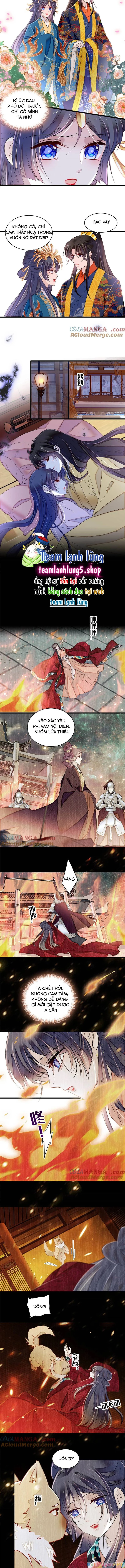 Tự Cẩm Chapter 387 - Trang 2