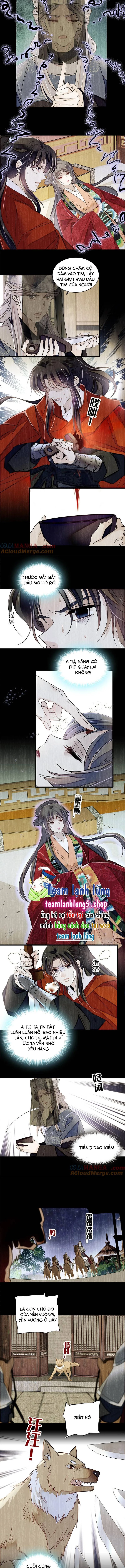 Tự Cẩm Chapter 388 - Trang 2