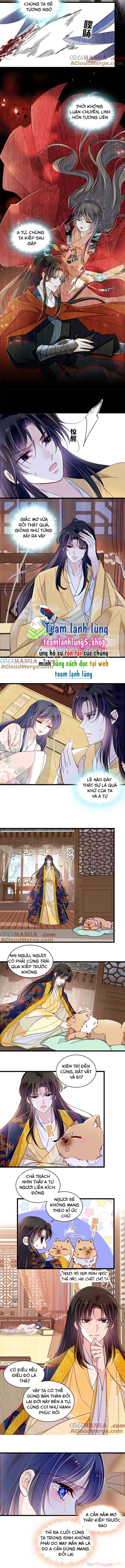 Tự Cẩm Chapter 388 - Trang 2