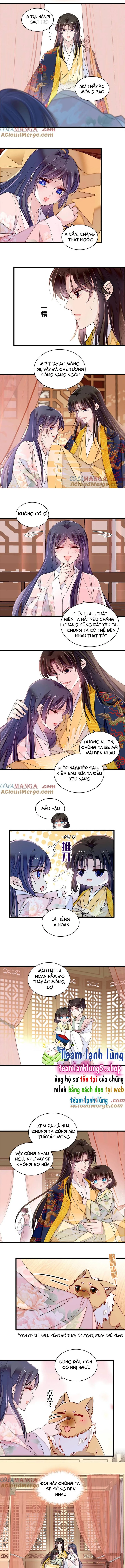 Tự Cẩm Chapter 388 - Trang 2