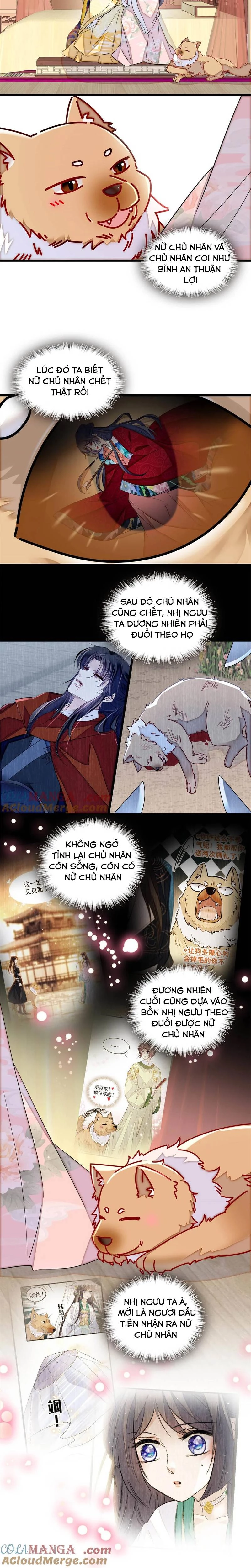 Tự Cẩm Chapter 388 - Trang 2