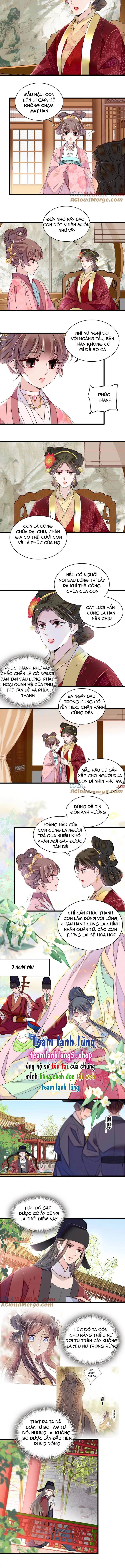 Tự Cẩm Chapter 389 - Trang 2