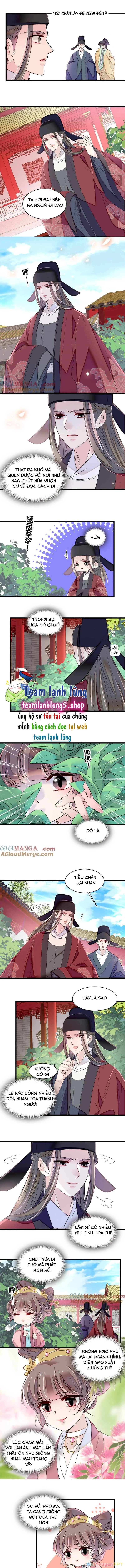 Tự Cẩm Chapter 389 - Trang 2
