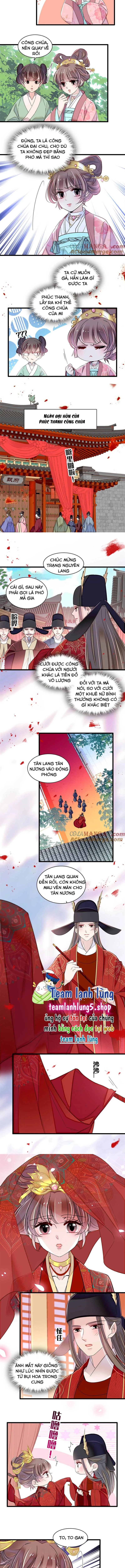 Tự Cẩm Chapter 389 - Trang 2