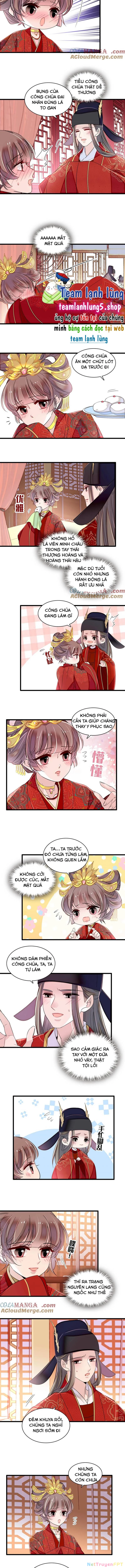 Tự Cẩm Chapter 389 - Trang 2