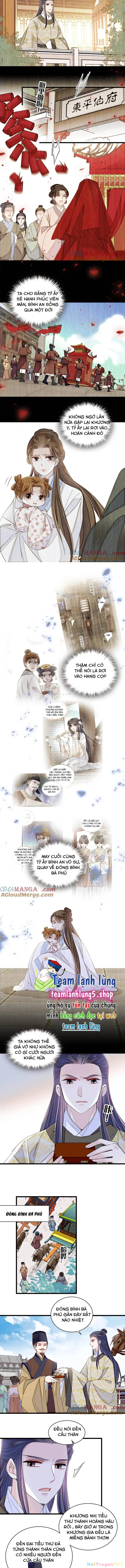 Tự Cẩm Chapter 391 - Trang 2