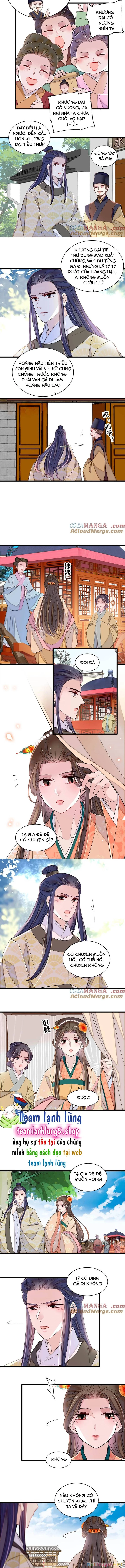 Tự Cẩm Chapter 391 - Trang 2