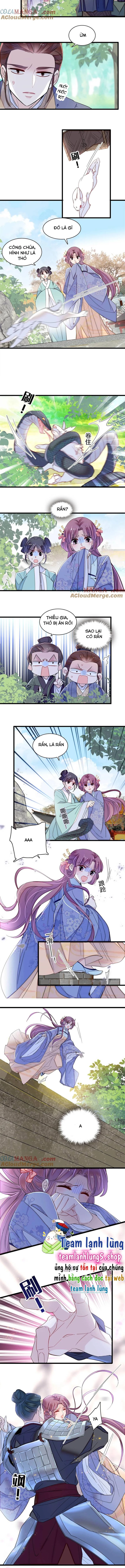 Tự Cẩm Chapter 393 - Trang 2