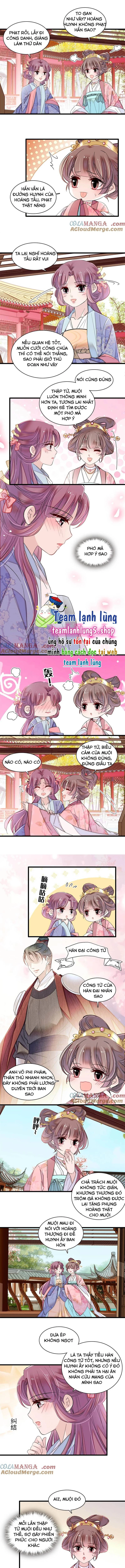 Tự Cẩm Chapter 394 - Trang 2