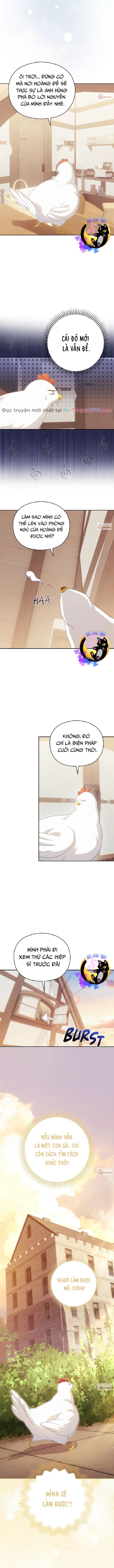 Công Chúa Trong Chuồng Gà Chapter 4 - Trang 2