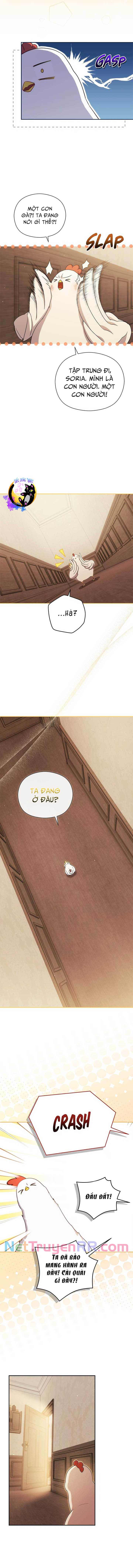 Công Chúa Trong Chuồng Gà Chapter 8 - Trang 2