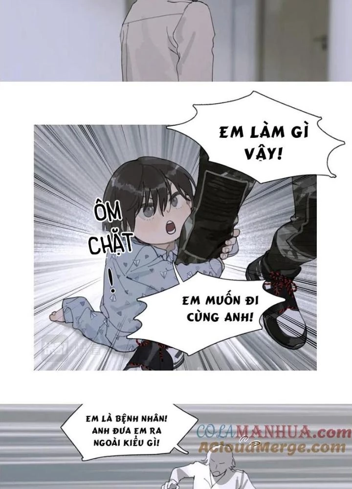 Tơ Nhện Chapter 40 - Trang 2
