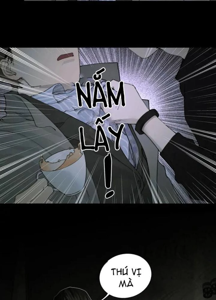 Tơ Nhện Chapter 40 - Trang 2