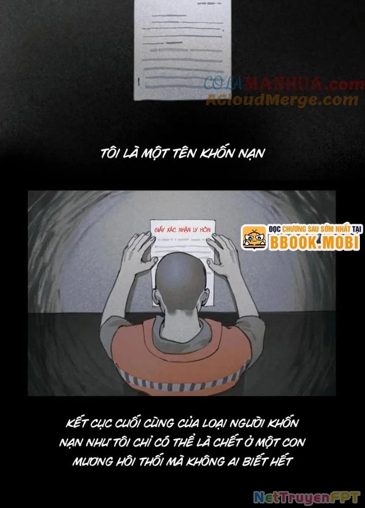 Tơ Nhện Chapter 43 - Trang 2