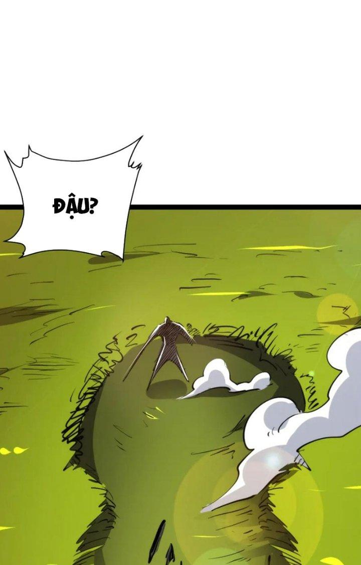Toàn Thuộc Tính Võ Đạo Chapter 70 - Trang 2