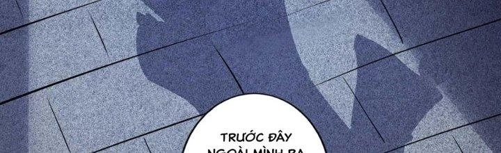 Ta Thật Sự Không Phải Thiên Mệnh Chi Tử Chapter 19 - Trang 2