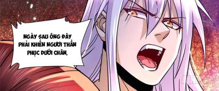 Bổn Tế Tu Chính Là Tiện Đạo Chapter 311 - Trang 2