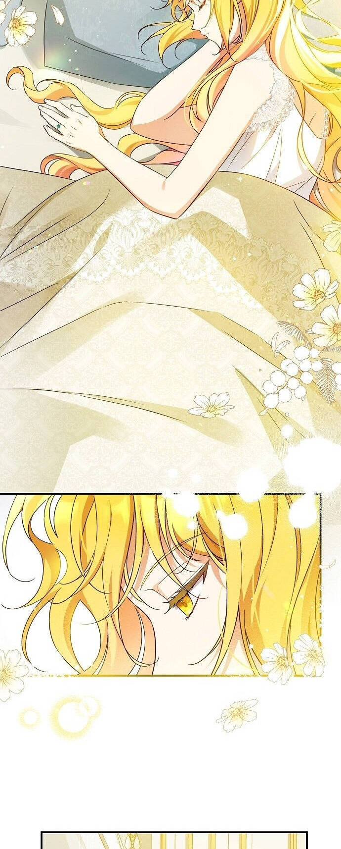 Thuần Hóa Hầu Tước Quái Dị Chapter 47 - Trang 2