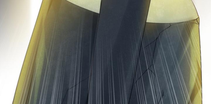 Phi Thăng Thất Bại, Đanh Phai Làm Liep Ma Nhân Chapter 10 - Trang 2