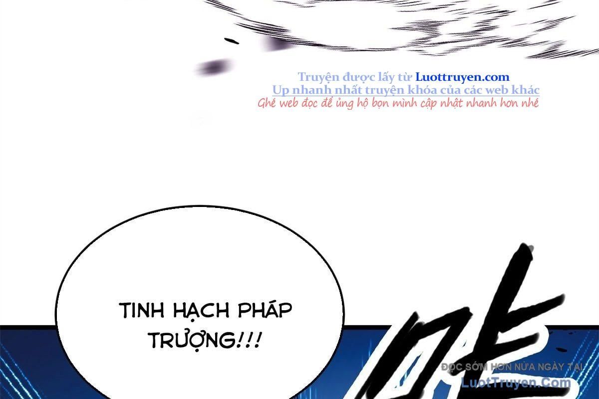 Ác Long Chuyển Sinh: Bắt Đầu Phục Thù Từ 5 Tuổi Chapter 159 - Trang 2