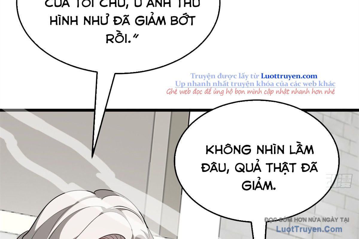 Ác Long Chuyển Sinh: Bắt Đầu Phục Thù Từ 5 Tuổi Chapter 159 - Trang 2