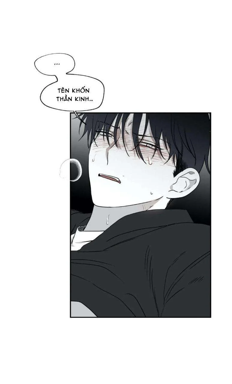 Thủy Triều Thấp Lúc Chạng Vạng Chapter 2 - Trang 2