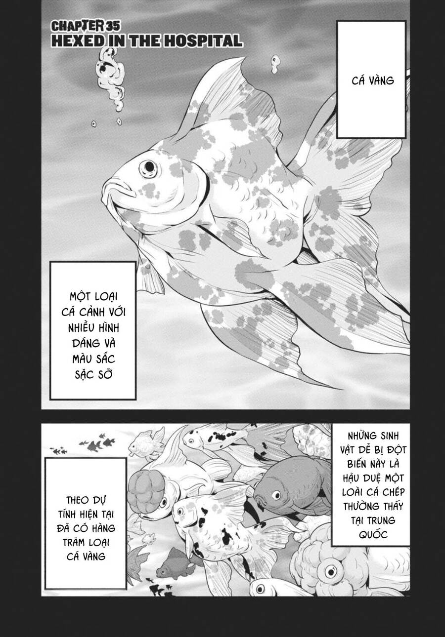 Shibuya Kingyo Chapter 35 - Trang 2