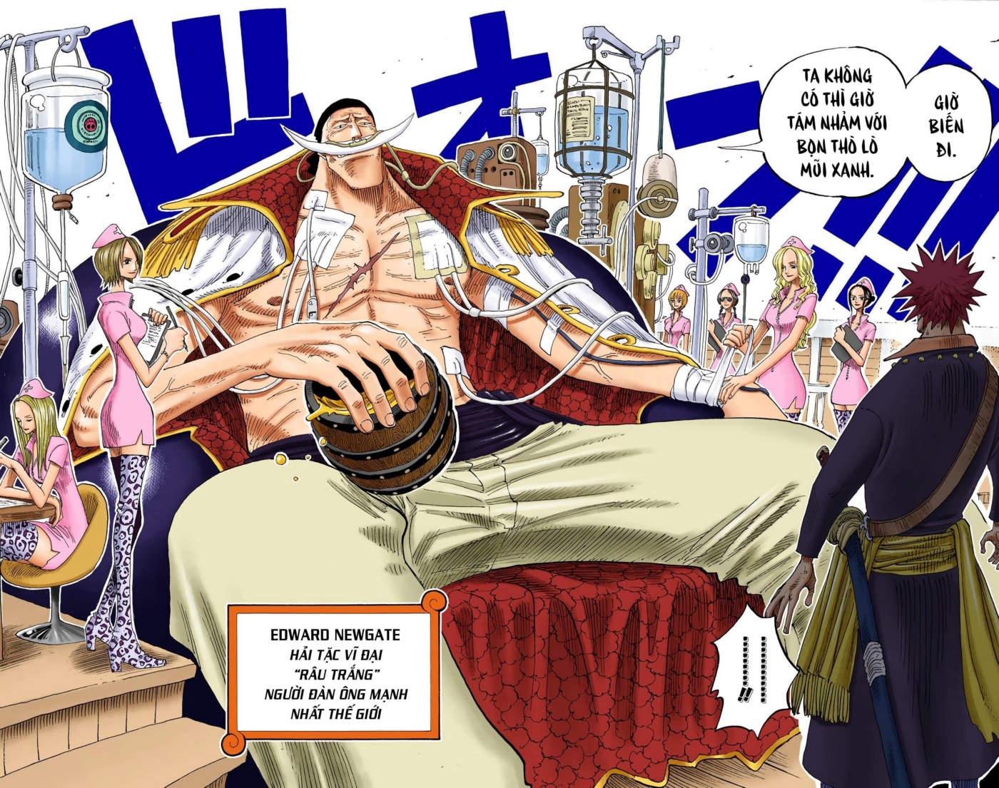 One Piece Color Chapter 234 - Trang 2