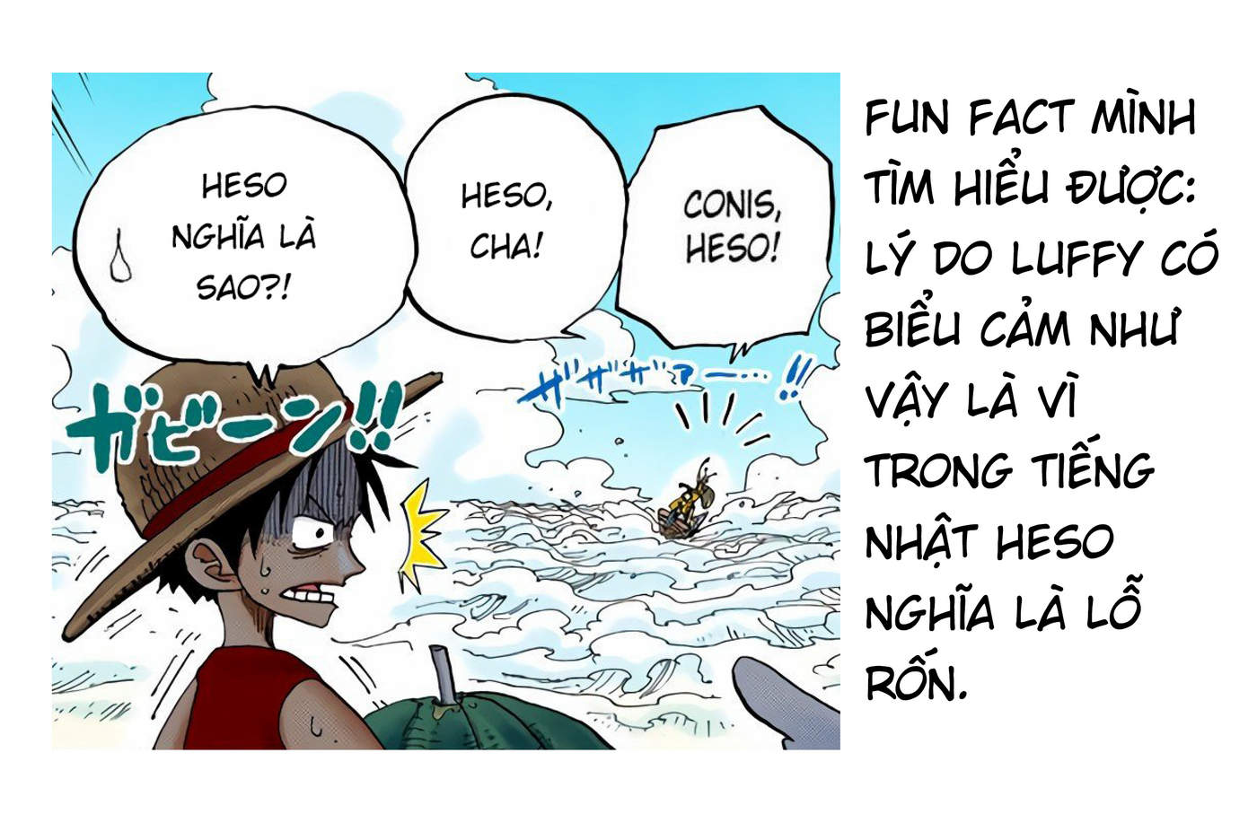 One Piece Color Chapter 239 - Trang 2