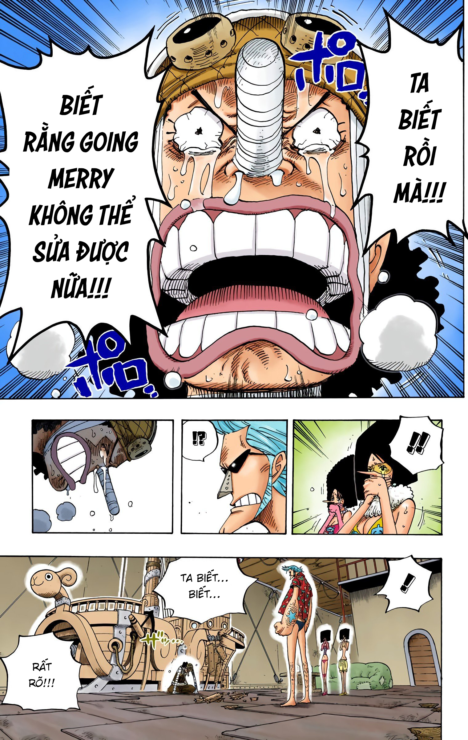 One Piece Color Chapter 351 - Trang 2
