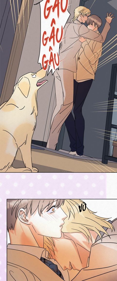 Anh Trai Tiện Lợi Của Tôi Chapter 9 - Trang 2