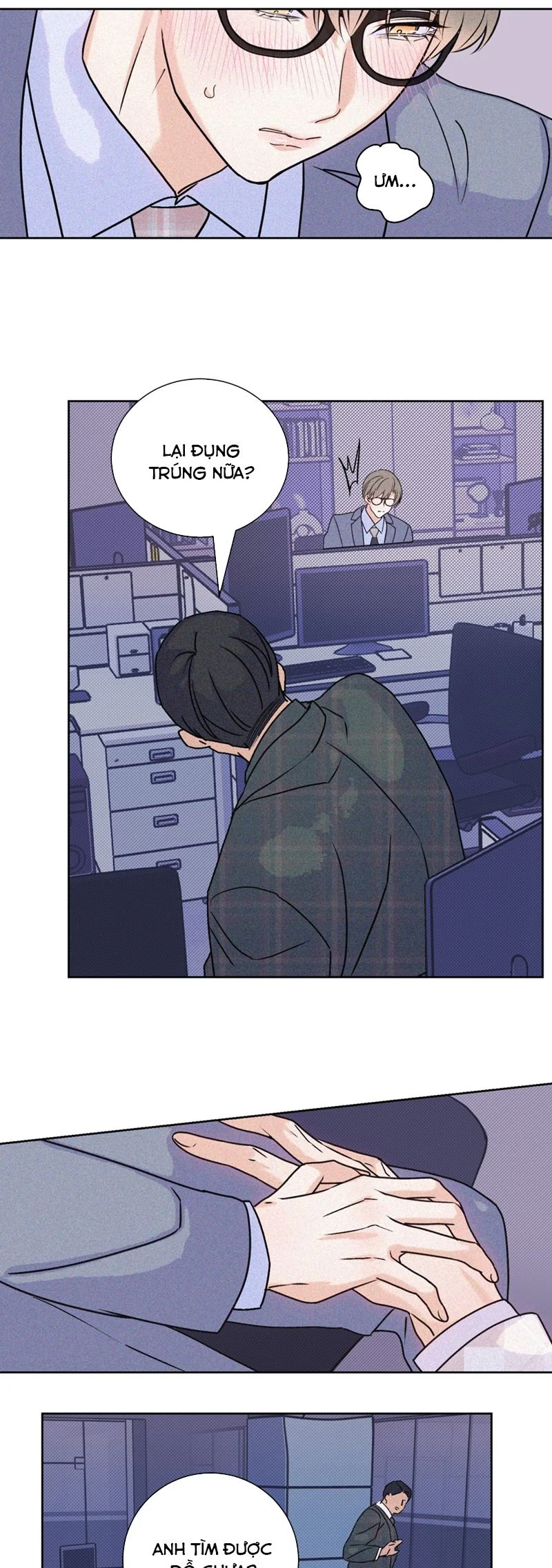 Anh Trai Tiện Lợi Của Tôi Chapter 26 - Trang 2