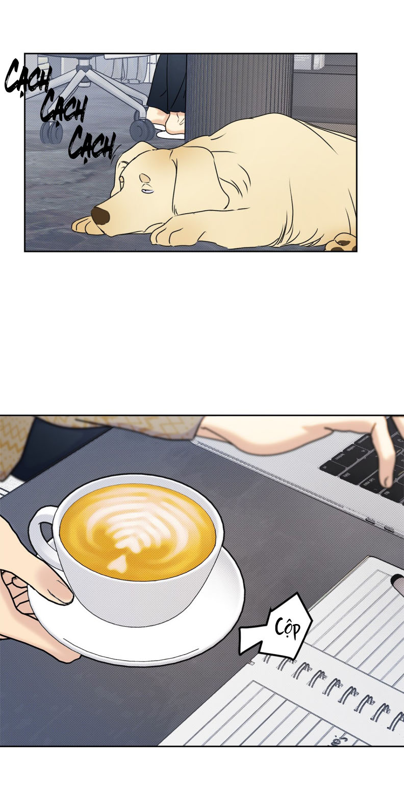 Anh Trai Tiện Lợi Của Tôi Chapter 25 - Trang 2